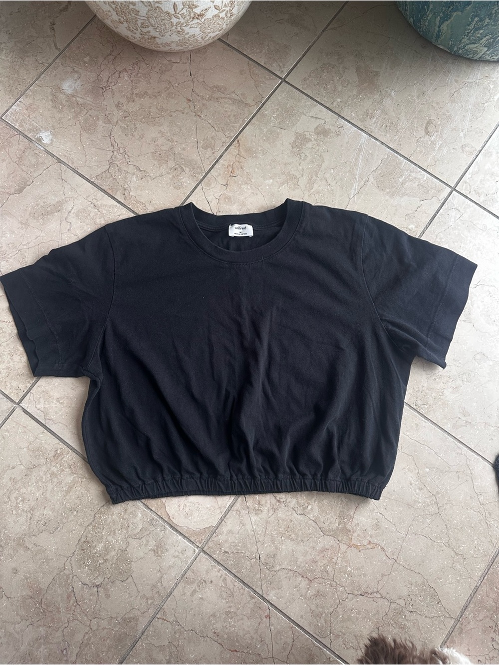 Aritzia Black Cropped Short Sleeve Tee